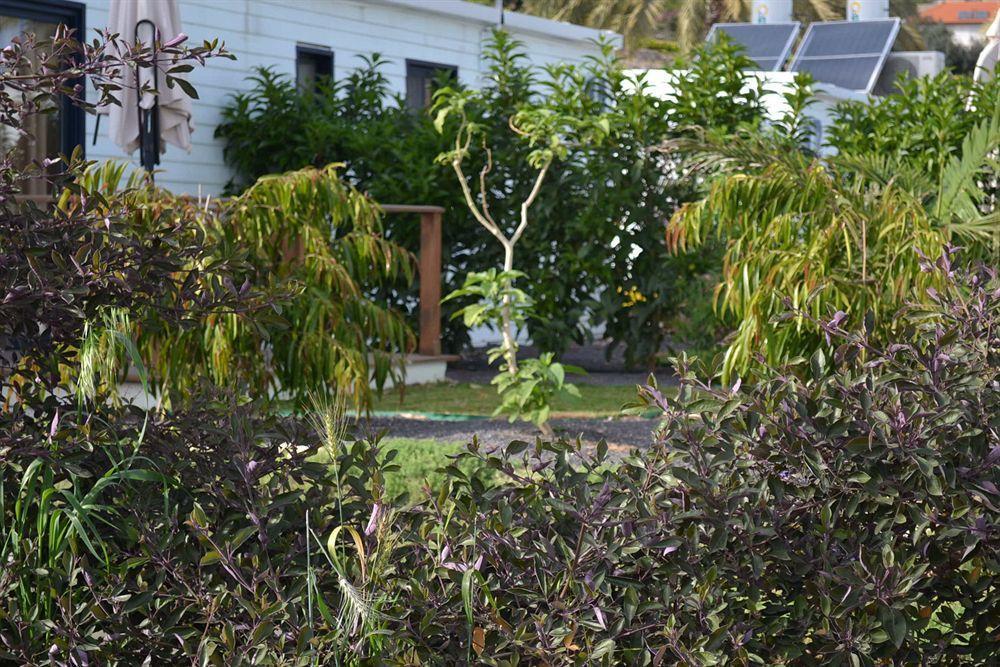 Kinneret Village Extérieur photo