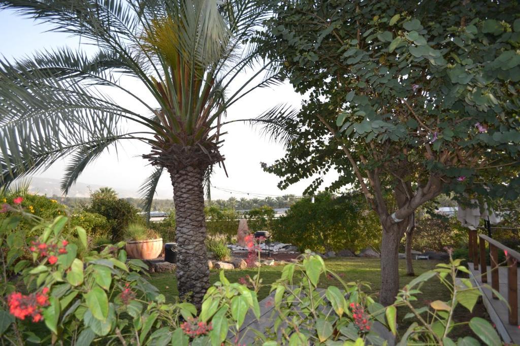 Kinneret Village Extérieur photo